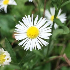 Meet your Posher, Ashlyn